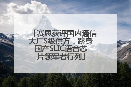 赛思获评国内通信大厂S级供方，跻身国产SLIC语音芯片领军者行列